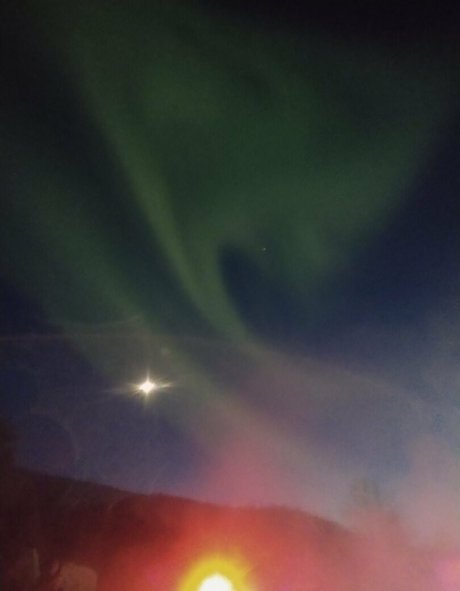 flowerpower87 free pornstar archive