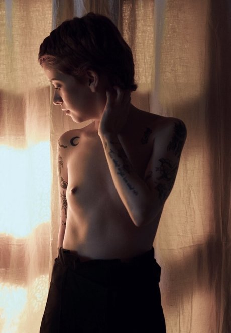 Ann Cid free star image