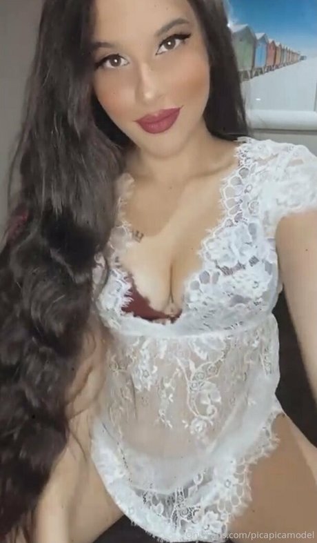 picapicamodel star art gallery