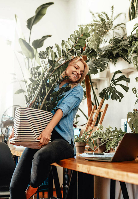 more than palnts beautiful star pics