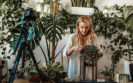 more than palnts star perfect pics