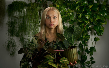 more than palnts star best images