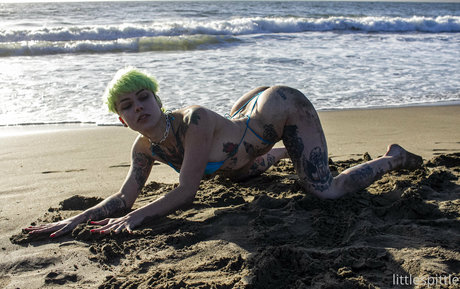 Little Spittle best model archive