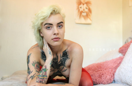 Little Spittle star best galleries