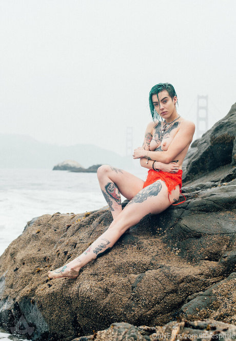 Little Spittle sexy star galleries