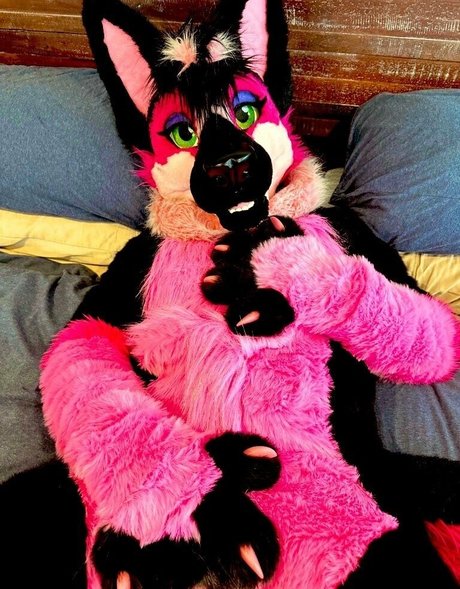 anejo xxx kaii pornstar nice photo