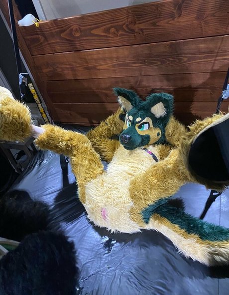 anejo xxx kaii pornstar hot img