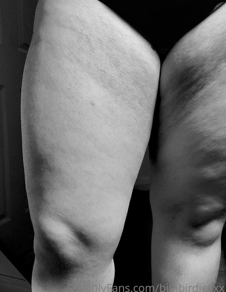 bibibirdiexx pornstar perfect archive