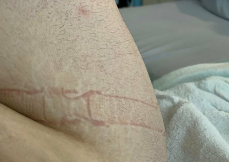 bibibirdiexx star art img