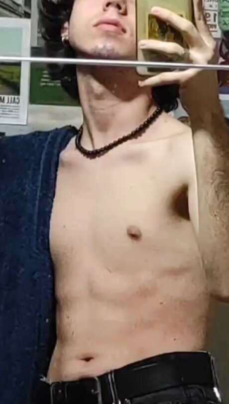 Salixlonica high quality model photos