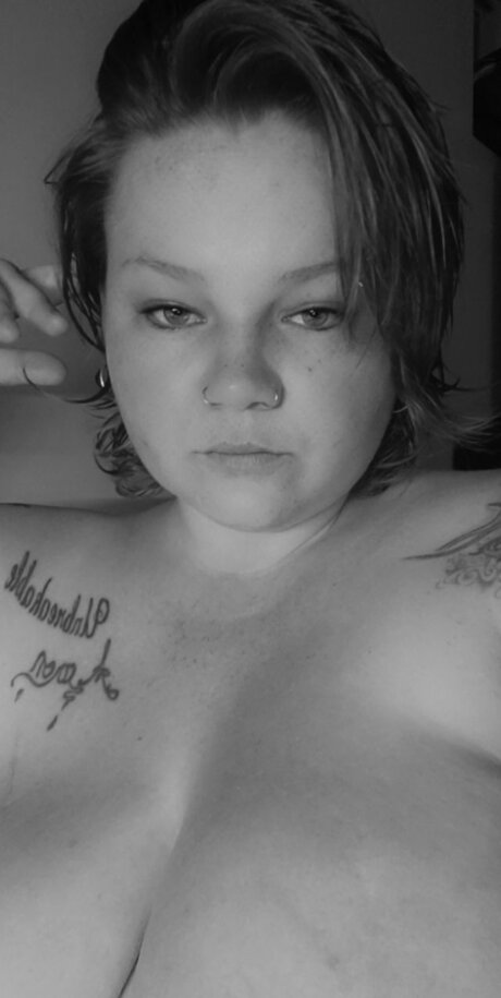 ParadiseWarZone star top photo