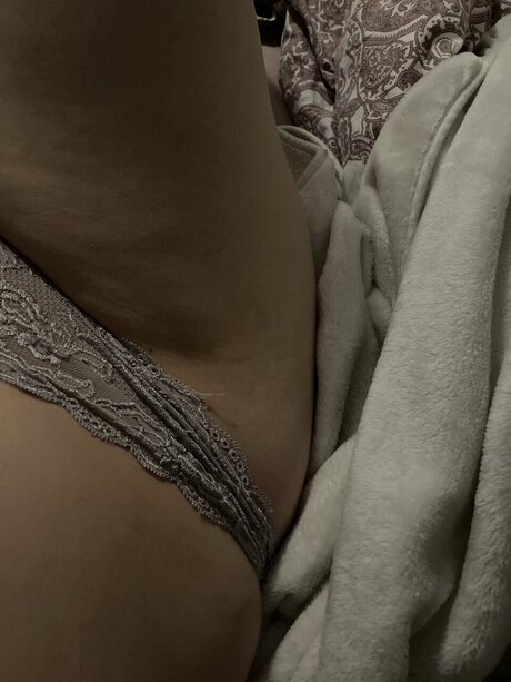 Selin free model archive