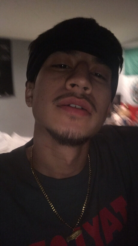 rawdreegz hd star archive