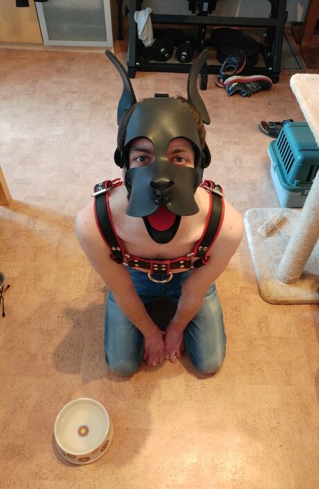 PupDexi perfect pornstar photo