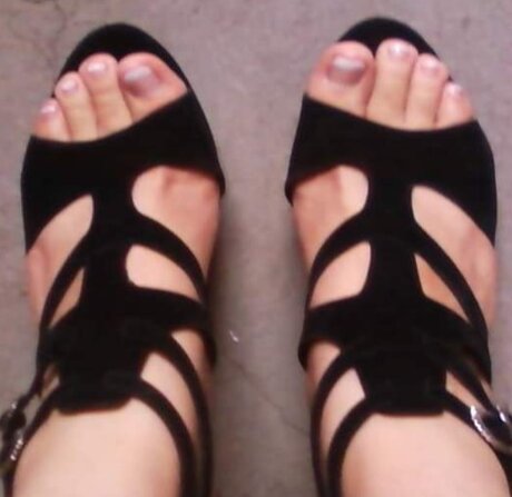 Aledo hd model archive