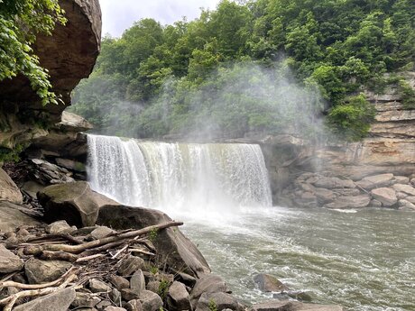 Brady Thicke free actress image