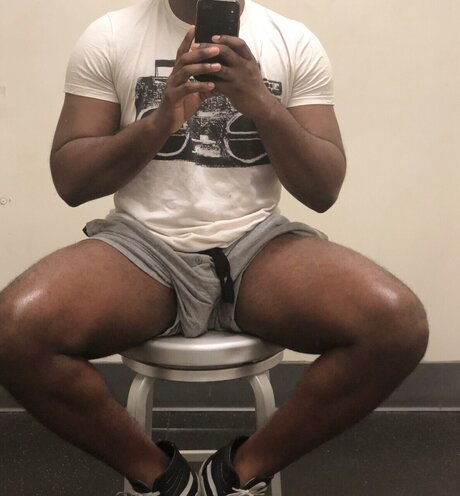 Brown Stallion star art photo