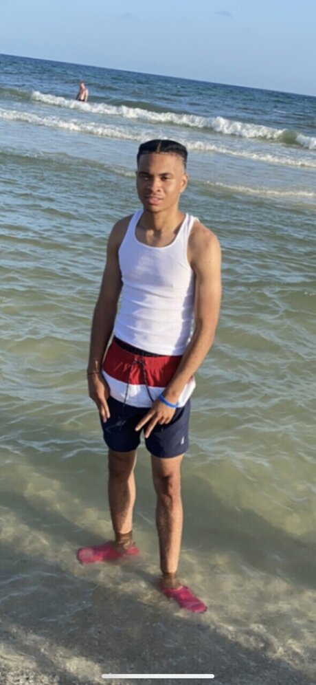 Lavishlingo star img