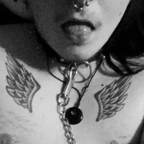 thevvoyd nudes pornstar images