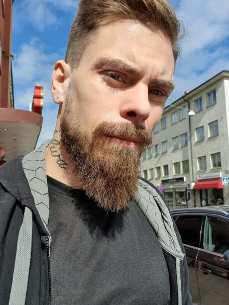 Niklas xxx star picture