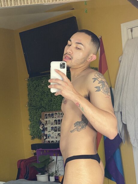 Katracho free star gallery