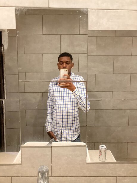 Starling adult star image