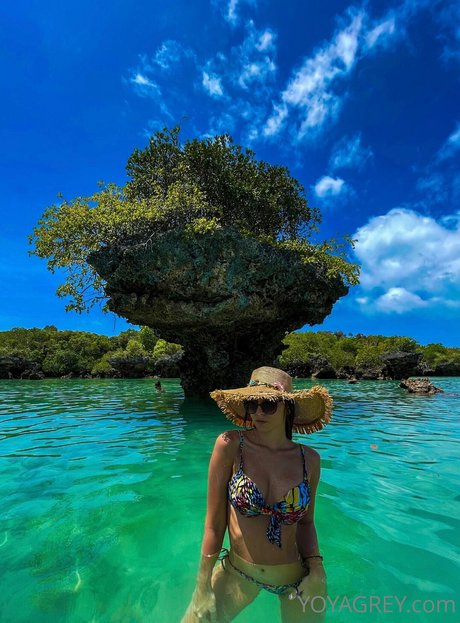 Yoya Grey star top picture