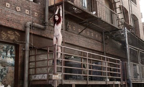 Cam Damage sex actress galleries