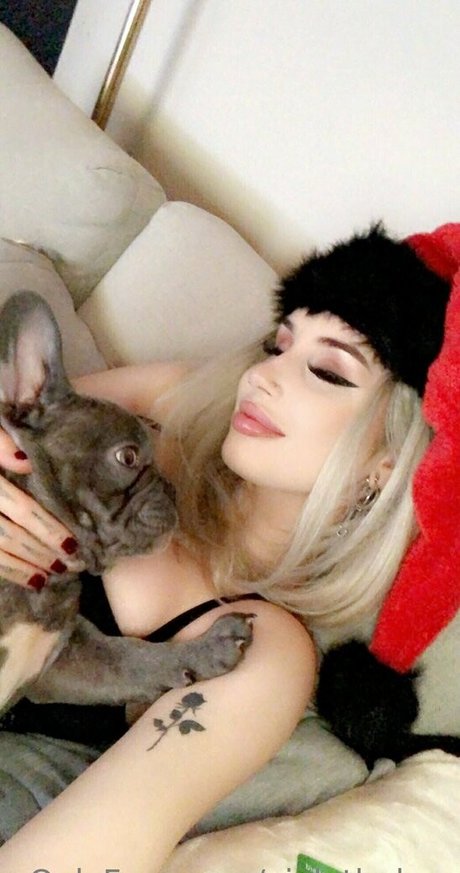 Violetbabyx Profile pic