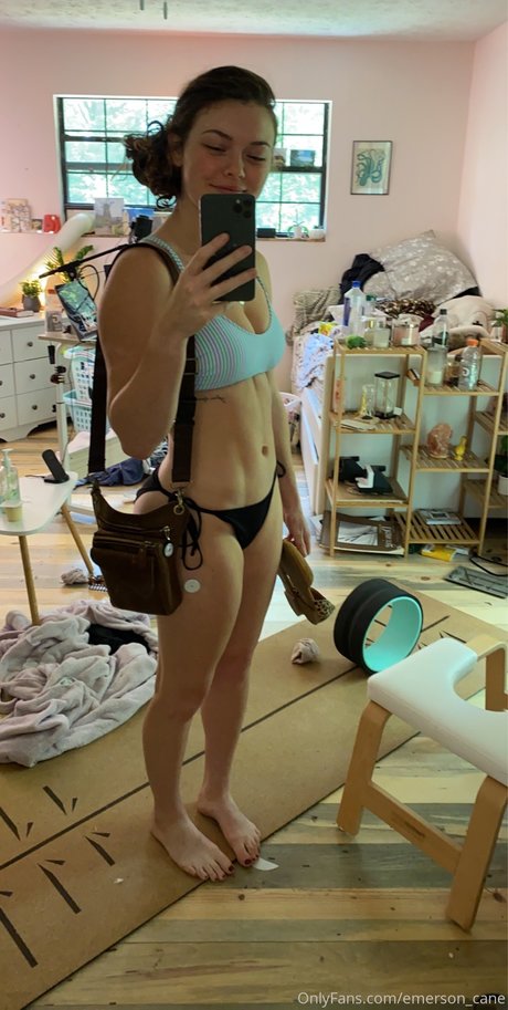 Emerson cane model high quality photo