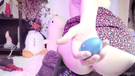 Pie All The Time model high quality image