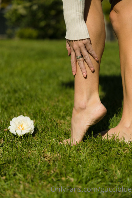 Gucci Blue pornographic model archive