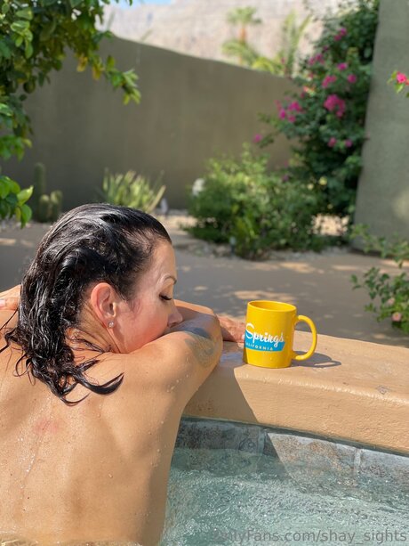 Shay Sights porn actress galleries