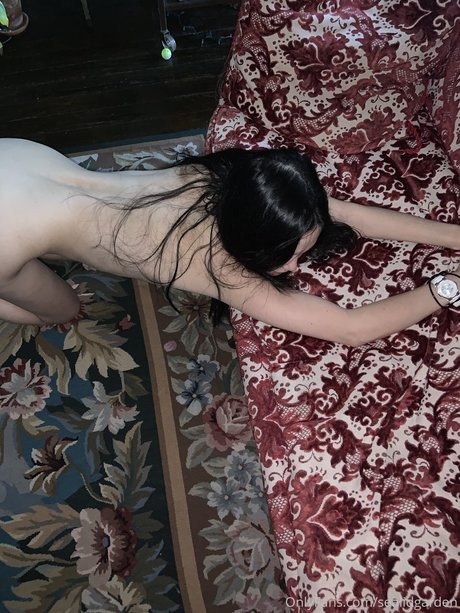 sealidgarden model free archive