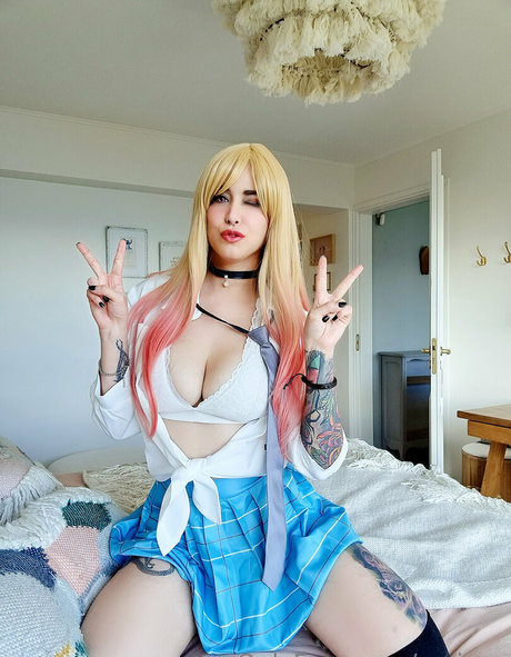 meivox high quality star galleries