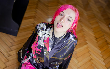 silkyskins art star galleries