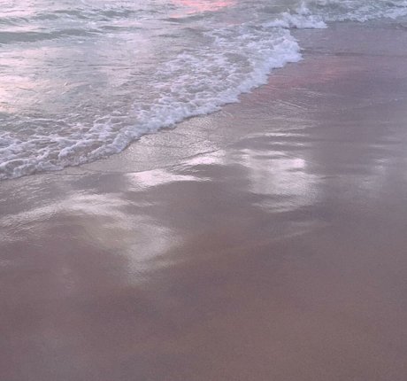 Elizabeth M star adult archive