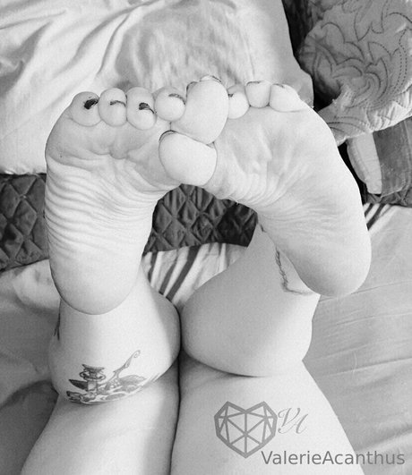 val acanthus perfect model galleries