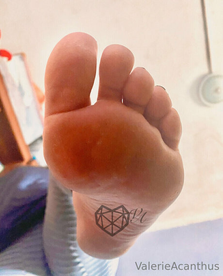 val acanthus porn model image