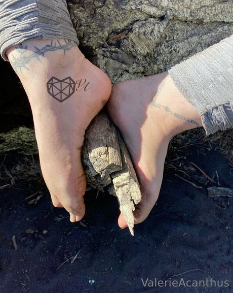 val acanthus hot star pic