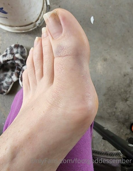 footgoddessember star erotic archive