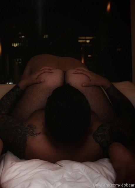 leobear star free pictures