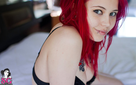 Felynx xxx actress galleries