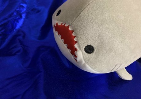 baby buns pornstar xxx archive