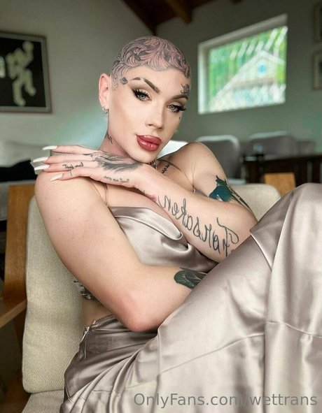 wettrans star art pic