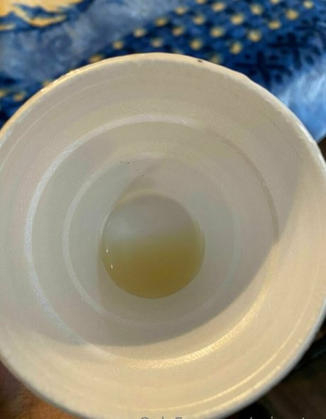 ozjoestar free model archive