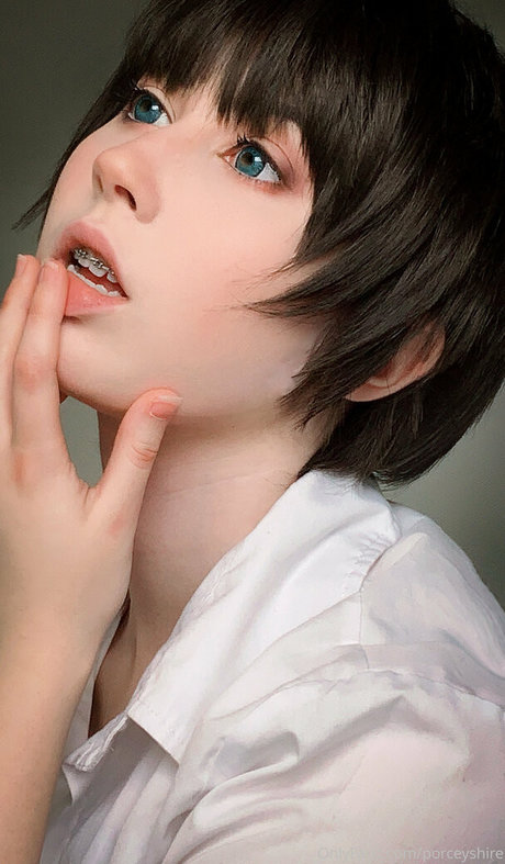 porceyshire star high quality gallery