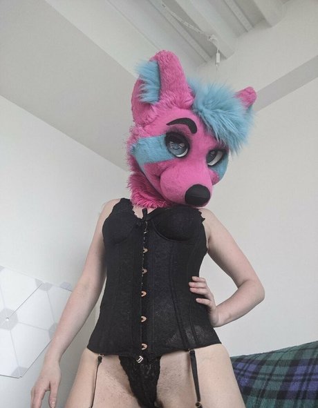 ragehound star porn archive