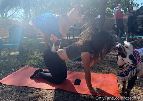 czechm8 star nice archive