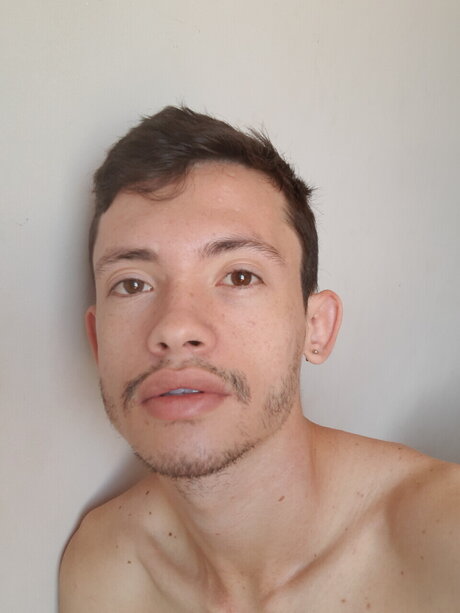 MACCELO pornstar galleries